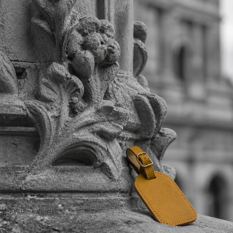 Visitas guiadas por Salamanca en español y hoteles: cómo organizar mejor tu viaje